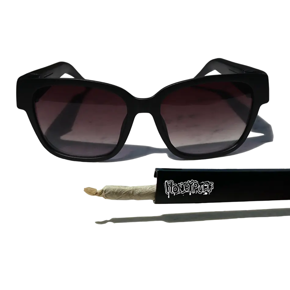 Secret Stash Sunglasses